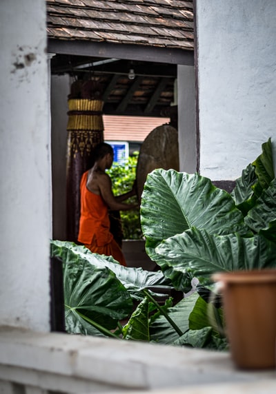 穿着橙色衣服的女人站在绿色植物旁边